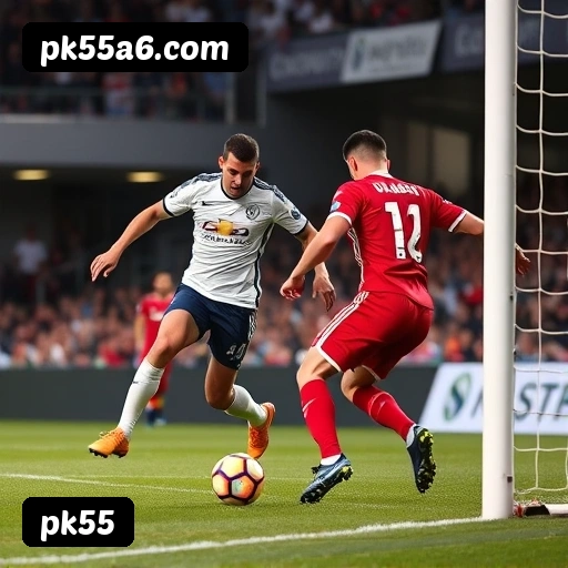 Níveis do programa VIP da pk55